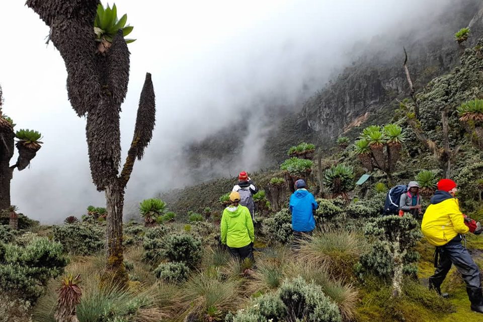 What to bring for the Rwenzori Trek