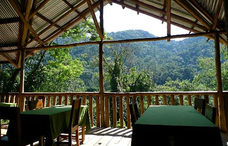5 Best Budget Safari Lodges in Bwindi