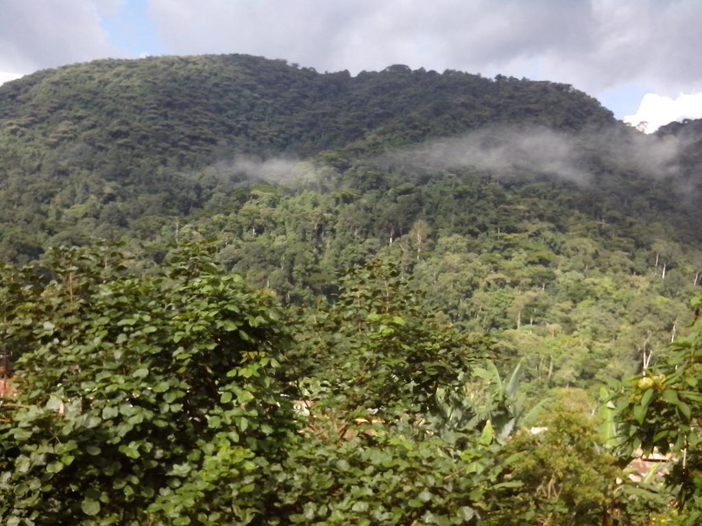 Top 5 Things to Do in Bwindi Impenetrable Forest