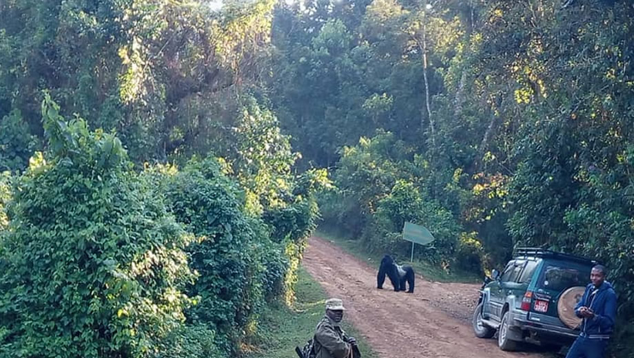 Self Drive From Northern to Western Uganda