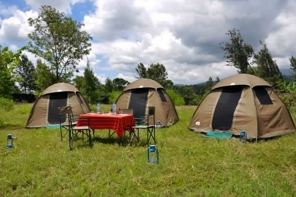 Top Camping Tips: Recommendations for Uganda
