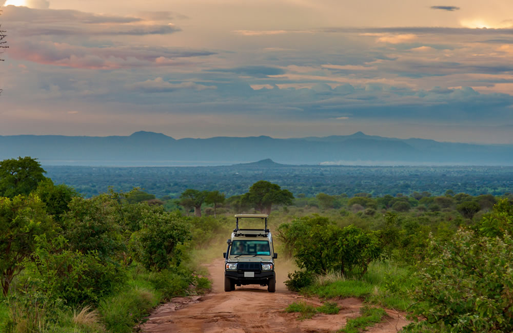Self Driving in East African National Parks